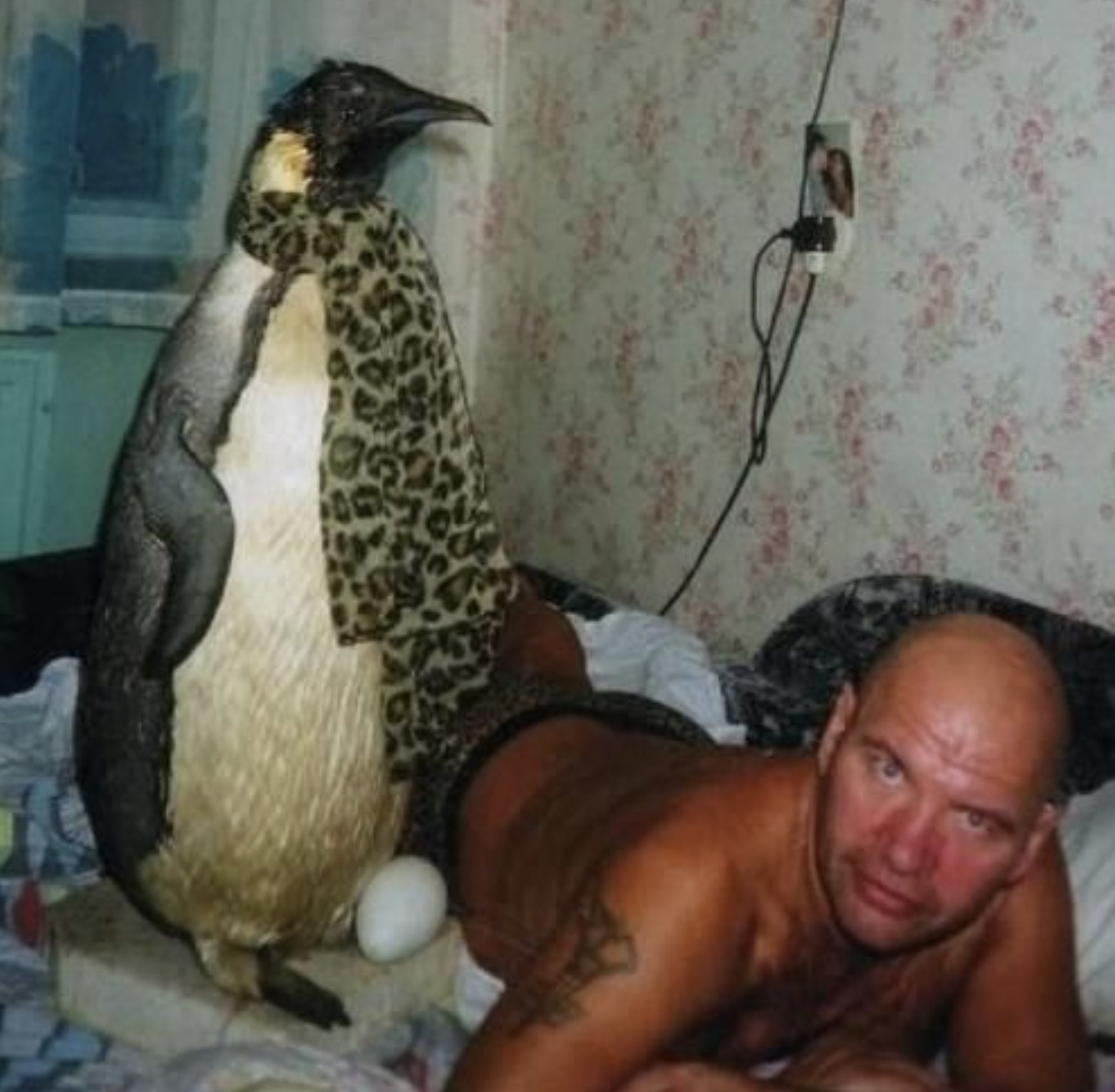 cursed images man with penguin